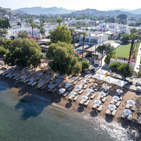 Hotel Anemon Kent Trabzon 4*
